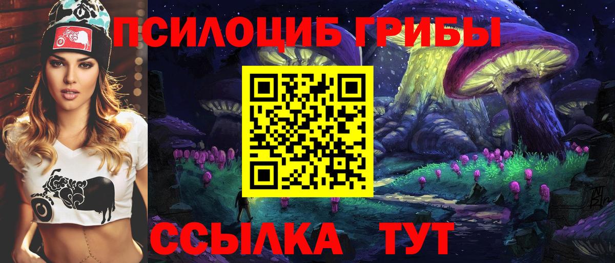 Лесозаводск  Галлюциногенные грибы Psilocybine cubensis  Вход с VPN 