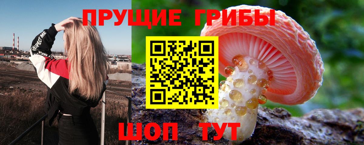 Галлюциногенные грибы Cubensis Лесозаводск